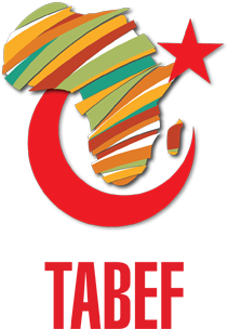 TÜRKİYE - AFRİKA İŞ VE EKONOMİ FORUMU 